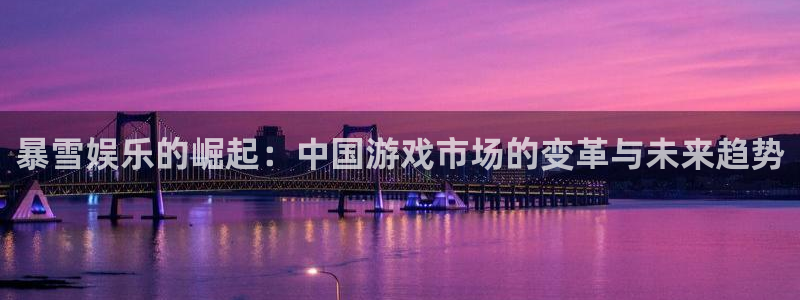 im电竞子写作课：暴雪娱乐的崛起：中国游戏市场的变革与未来趋势