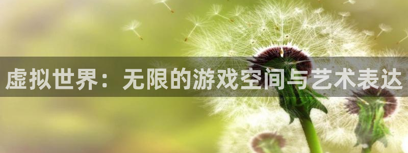 im电竞官网注册方法是什么意思：虚拟世界：无限的游戏空间与艺术表达