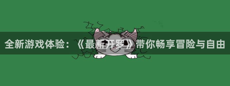 广州im电竞投资
