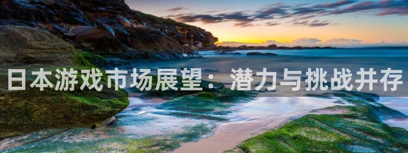 im电竞官网主管联3.7.9.9.7 主管：日本游戏市场展望：潜力与挑战并存