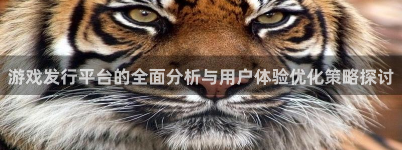 作者im电竞子：游戏发行平台的全面分析与用户体验优化策略探讨