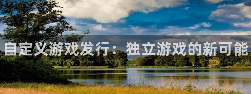 im电竞电子商务有限公司：自定义游戏发行：独立游戏的新可能