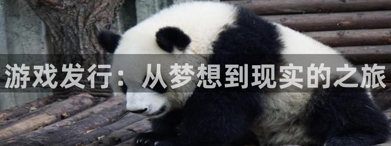 im电竞子出版社董事长：游戏发行：从梦想到现实的之旅