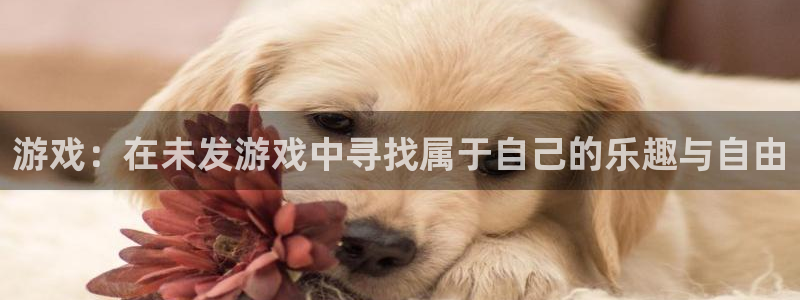 im电竞官网游戏平台介绍：游戏：在未发游戏中寻找属于自己的乐趣与自由