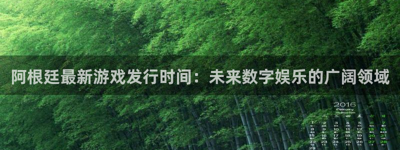 im电竞官网注册地址查询：阿根廷最新游戏发行时间：未来数字娱乐的广阔领域