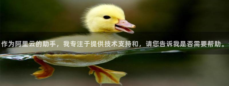 im电竞涂料怎么样：作为阿里云的助手，我专注于提供技术支持和，请您告诉我是否需要帮助。