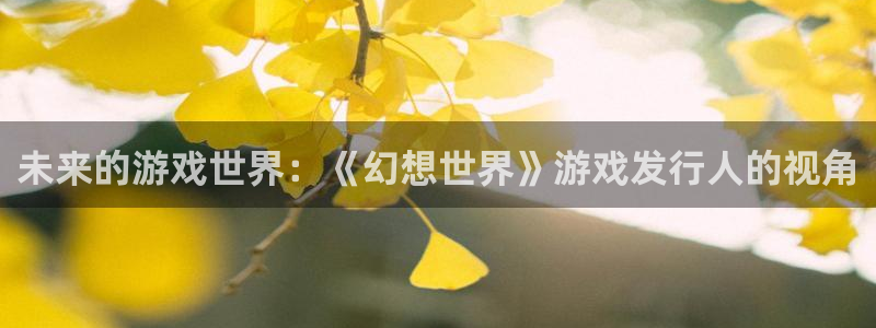 im电竞好还是红狮好：未来的游戏世界：《幻想世界》游戏发行人的视角