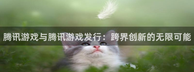 陕西im电竞子文化创意是什么：腾讯游戏与腾讯游戏发行：跨界创新的无限可能