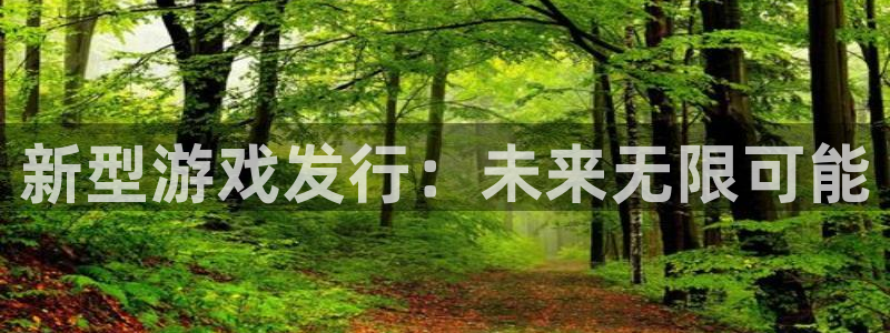 im电竞烟照片：新型游戏发行：未来无限可能
