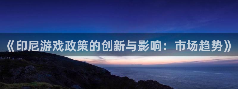 im电竞子文化游戏：《印尼游戏政策的创新与影响：市场趋势》