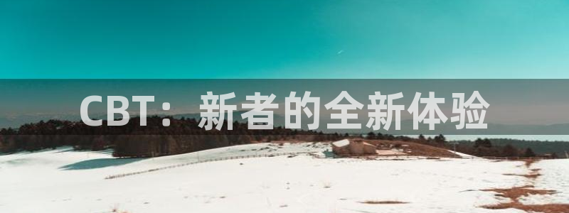 im电竞涂料(北京)有限公司：CBT：新者的全新体验
