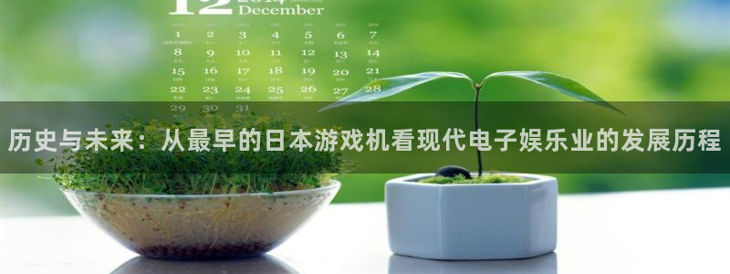 im电竞官网注册地址在哪里：历史与未来：从最早的日本游戏机看现代电子娱乐业的发展历程