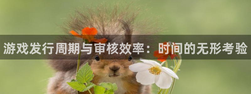 im电竞官网注册方法：游戏发行周期与审核效率：时间的无形考验