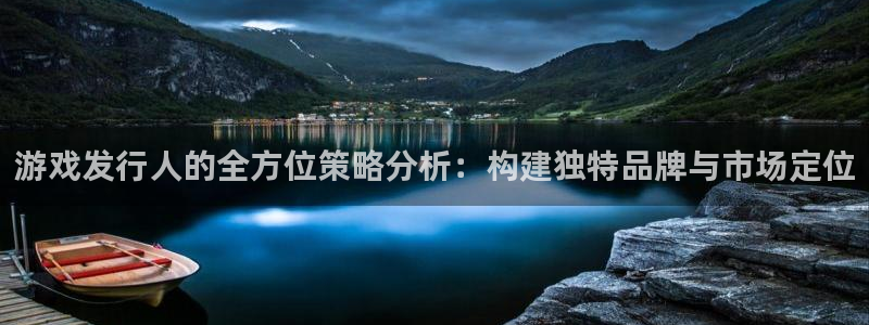 im电竞技术有限公司