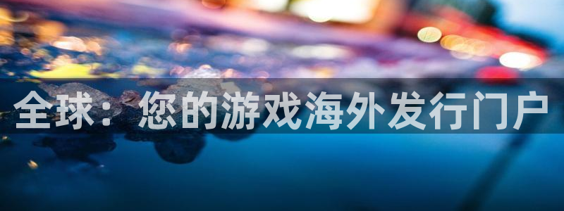 im电竞技术有限公司怎么样