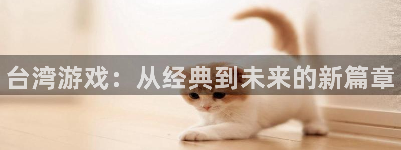im电竞子文化是干嘛的：台湾游戏：从经典到未来的新篇章
