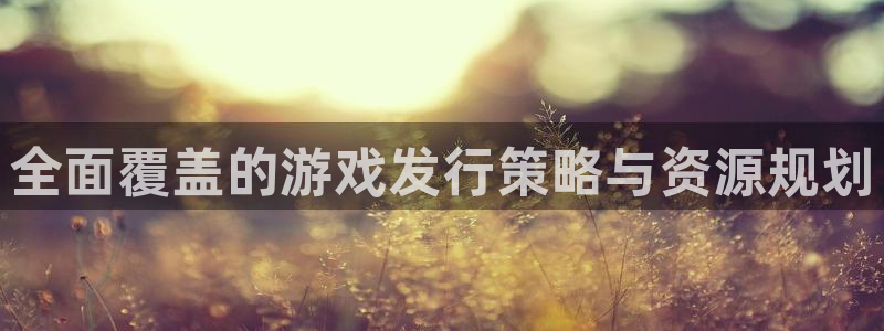 im电竞子的所有小说：全面覆盖的游戏发行策略与资源规划